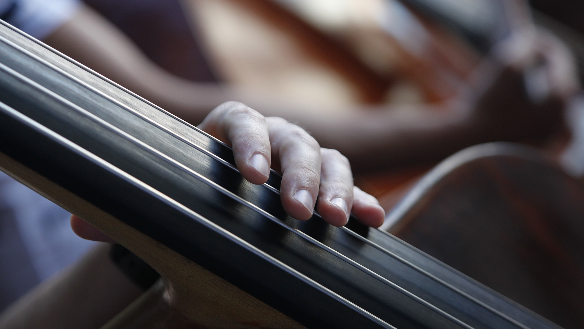 Piazza San Marco, Venice