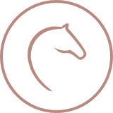 Tenuta Bocelli Poggioncino a Lajatico